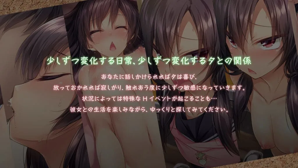 1room: Runaway Girl screenshot 4